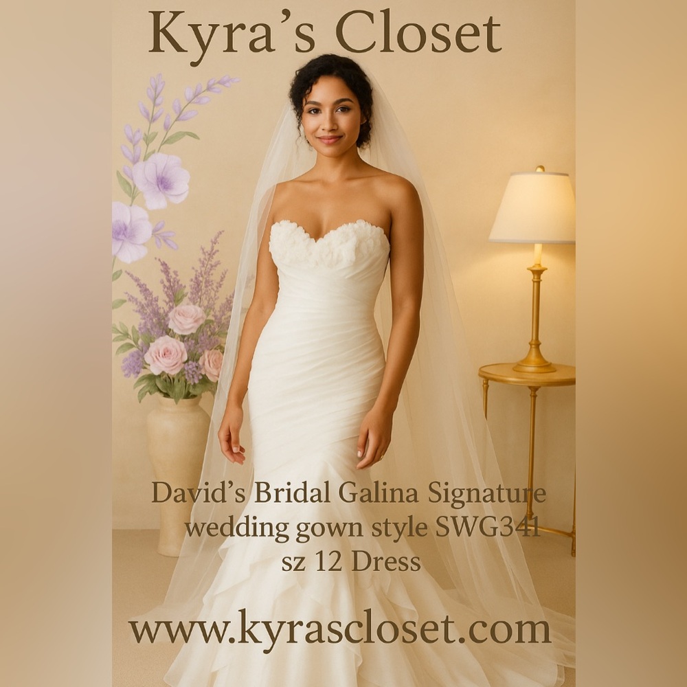David’s Bridal Galina Signature wedding gown style (SWG341) sz 12 Dress